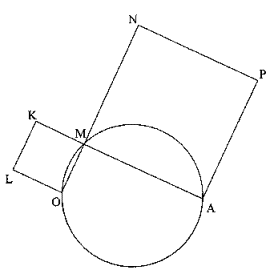 BOA rectangle - homothéties